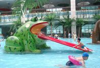 Frog Νερό Slide Νερό Παιδική Παιδική Εξοπλισμός για πισίνα